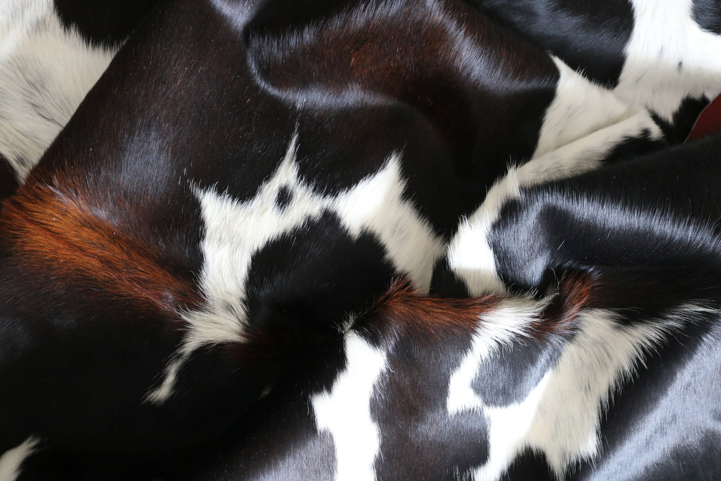 99247- Cowhide Rug Tapis Peau de Vache  - Collection Quebecuir Premium