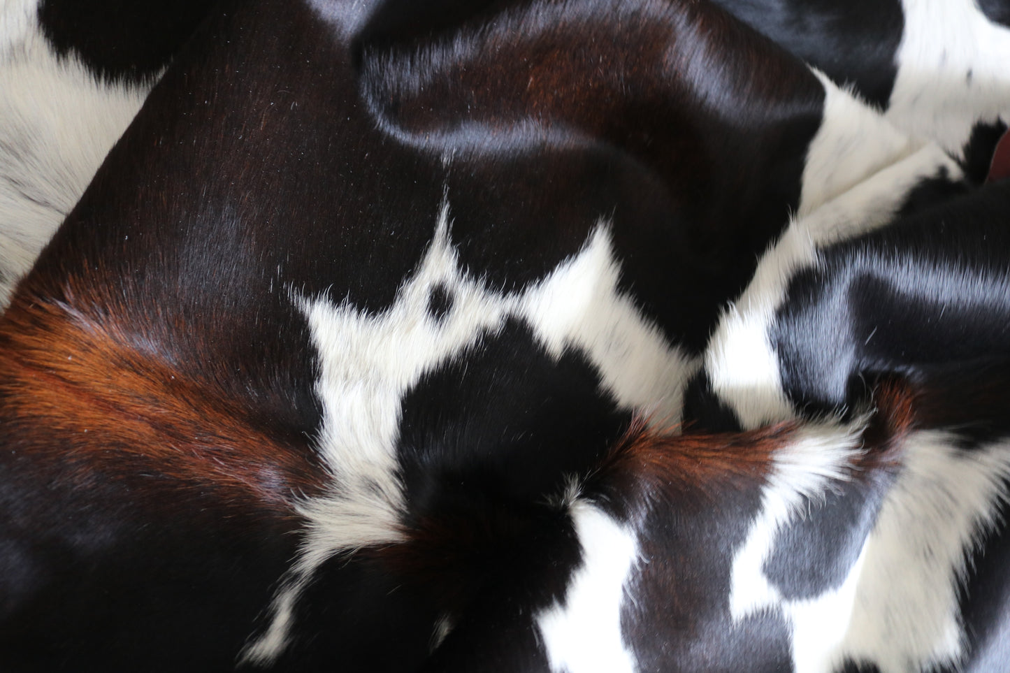 99247- Cowhide Rug Tapis Peau de Vache  - Collection Quebecuir Premium