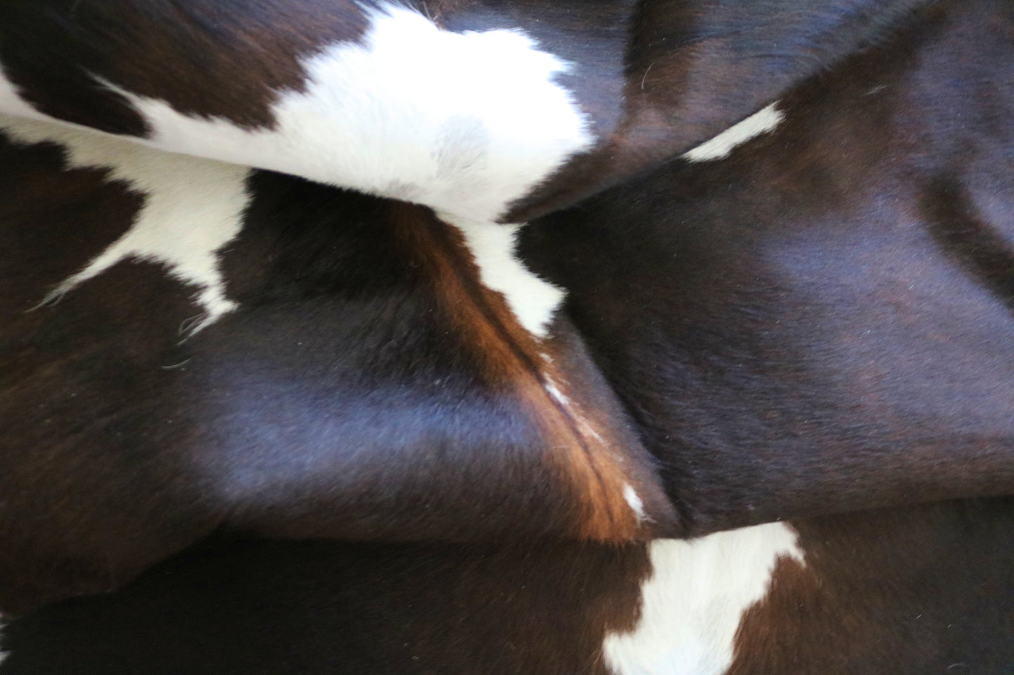 99256- Cowhide Rug Tapis Peau de Vache - Collection Quebecuir Premium