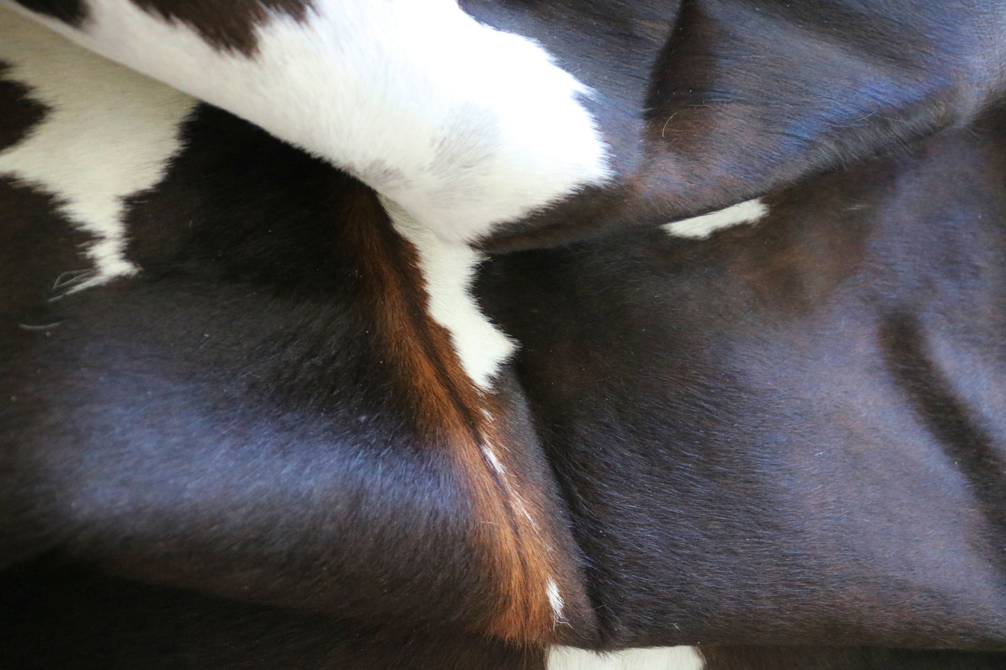 99256- Cowhide Rug Tapis Peau de Vache - Collection Quebecuir Premium