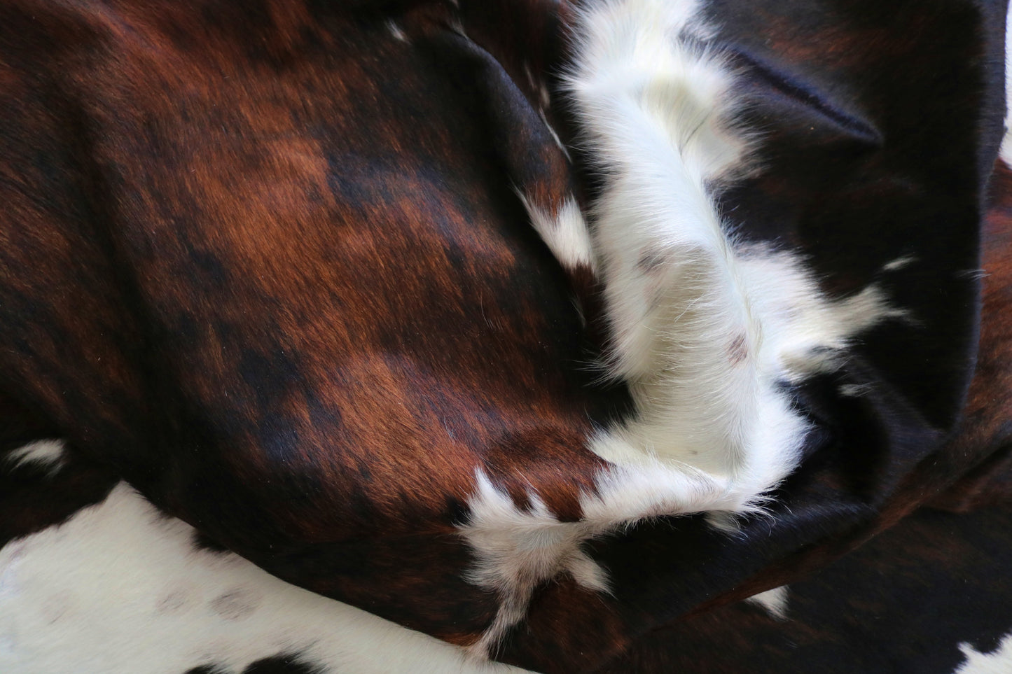 99261- Cowhide Rug Tapis Peau de Vache - Collection Quebecuir Premium