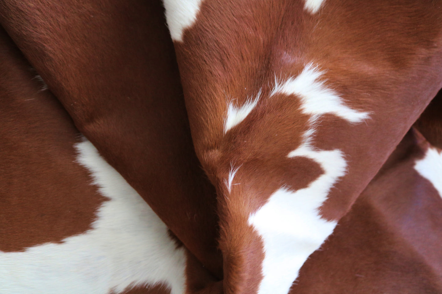 99262- Cowhide Rug Tapis Peau de Vache - Collection Quebecuir Premium