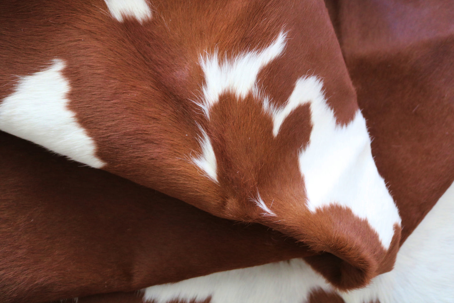 99262- Cowhide Rug Tapis Peau de Vache - Collection Quebecuir Premium