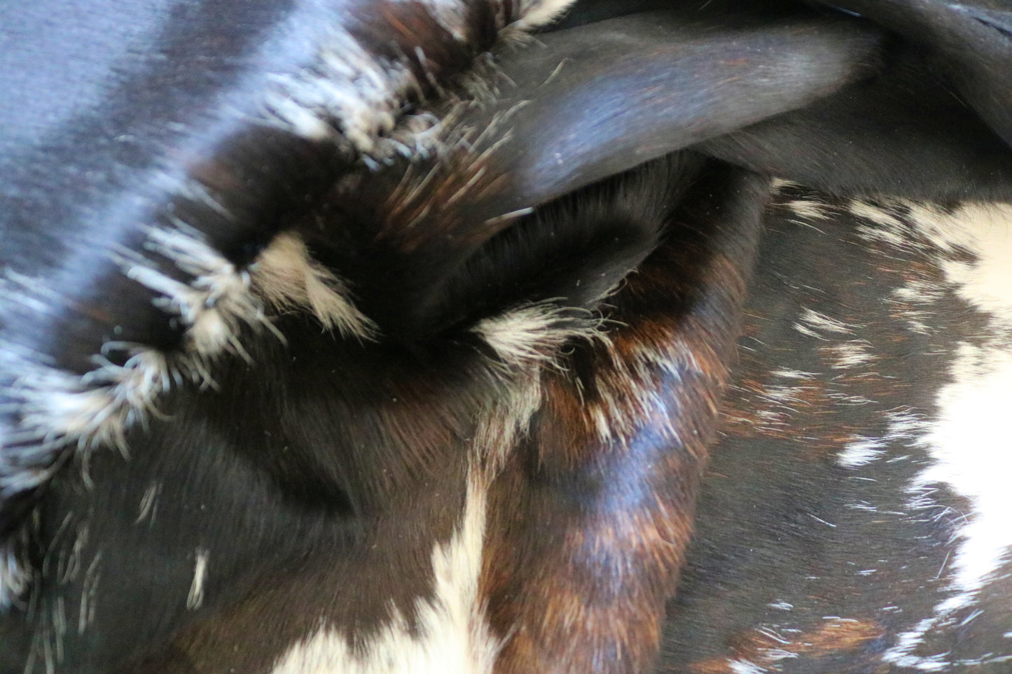 99272- Cowhide Rug Tapis Peau de Vache - Collection Quebecuir Premium