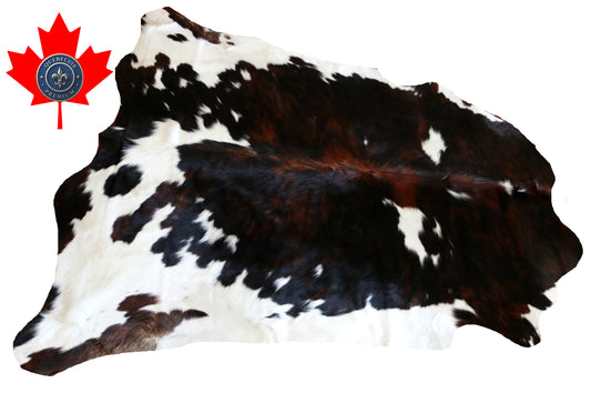 200527- Cowhide Rug Tapis Peau de Vache - Collection Quebecuir Premium