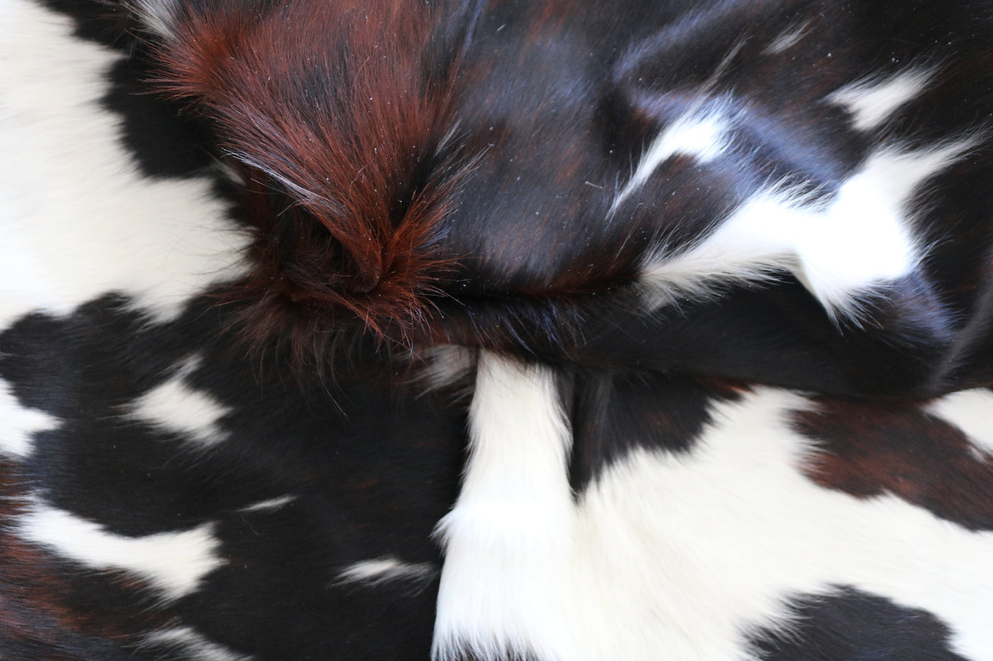 200527- Cowhide Rug Tapis Peau de Vache - Collection Quebecuir Premium