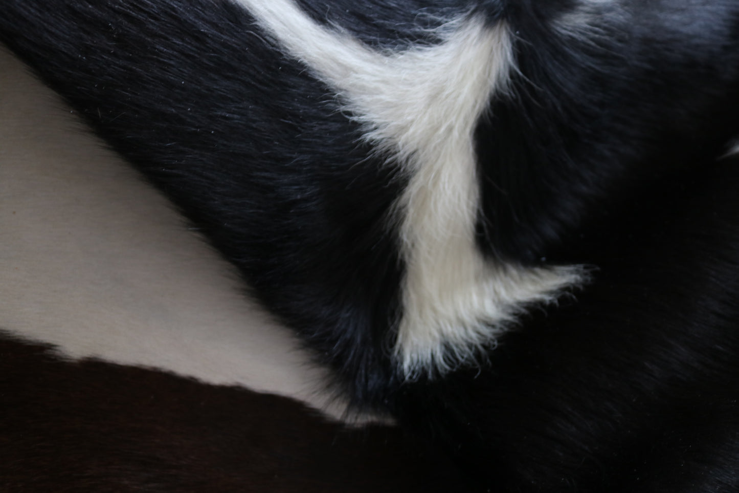 99281- Cowhide Rug Tapis Peau de Vache - Collection Quebecuir Premium