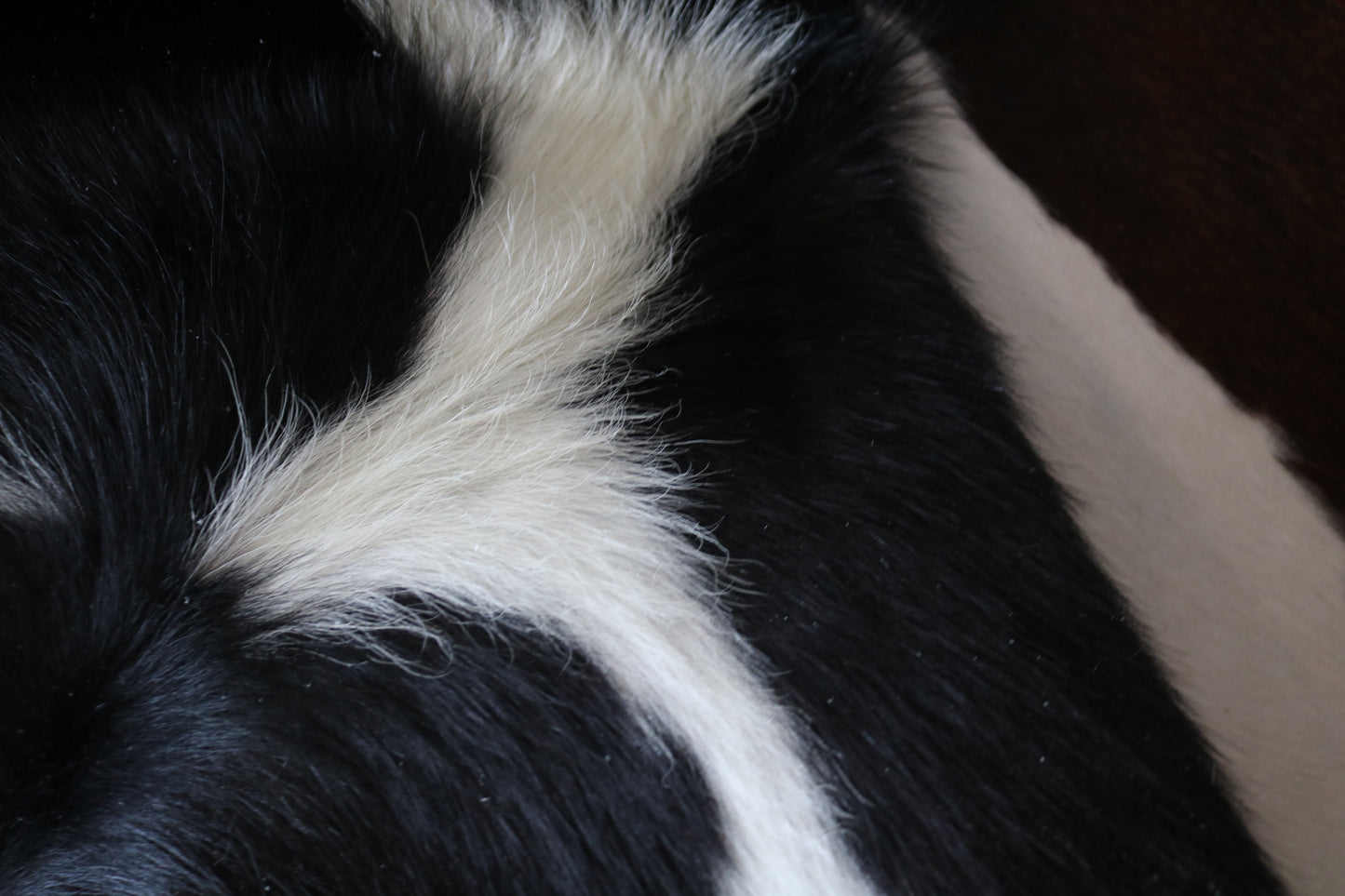 99281- Cowhide Rug Tapis Peau de Vache - Collection Quebecuir Premium