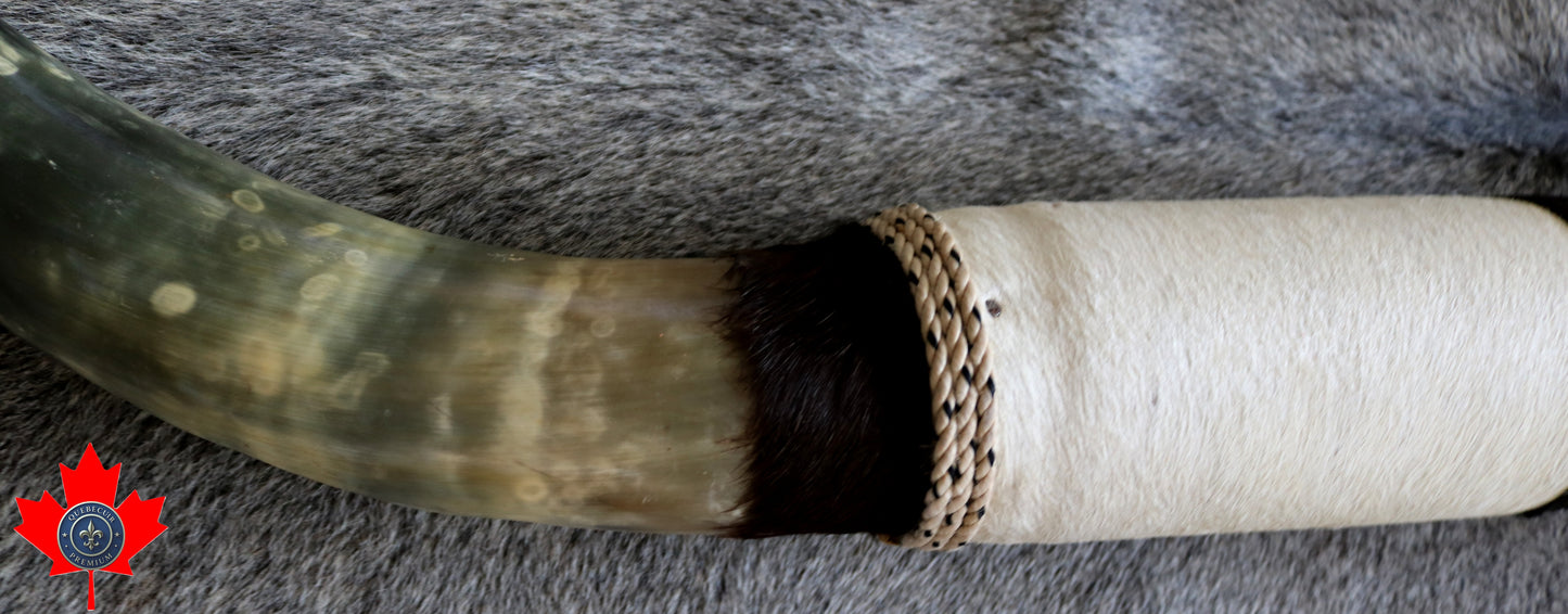 99296 Horns Cornes Collection BIG SIZE XL Quebecuir Premium