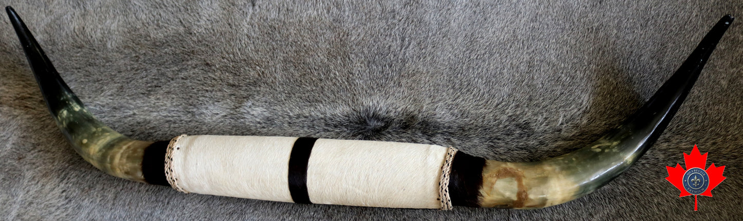 99296 Horns Cornes Collection BIG SIZE XL Quebecuir Premium