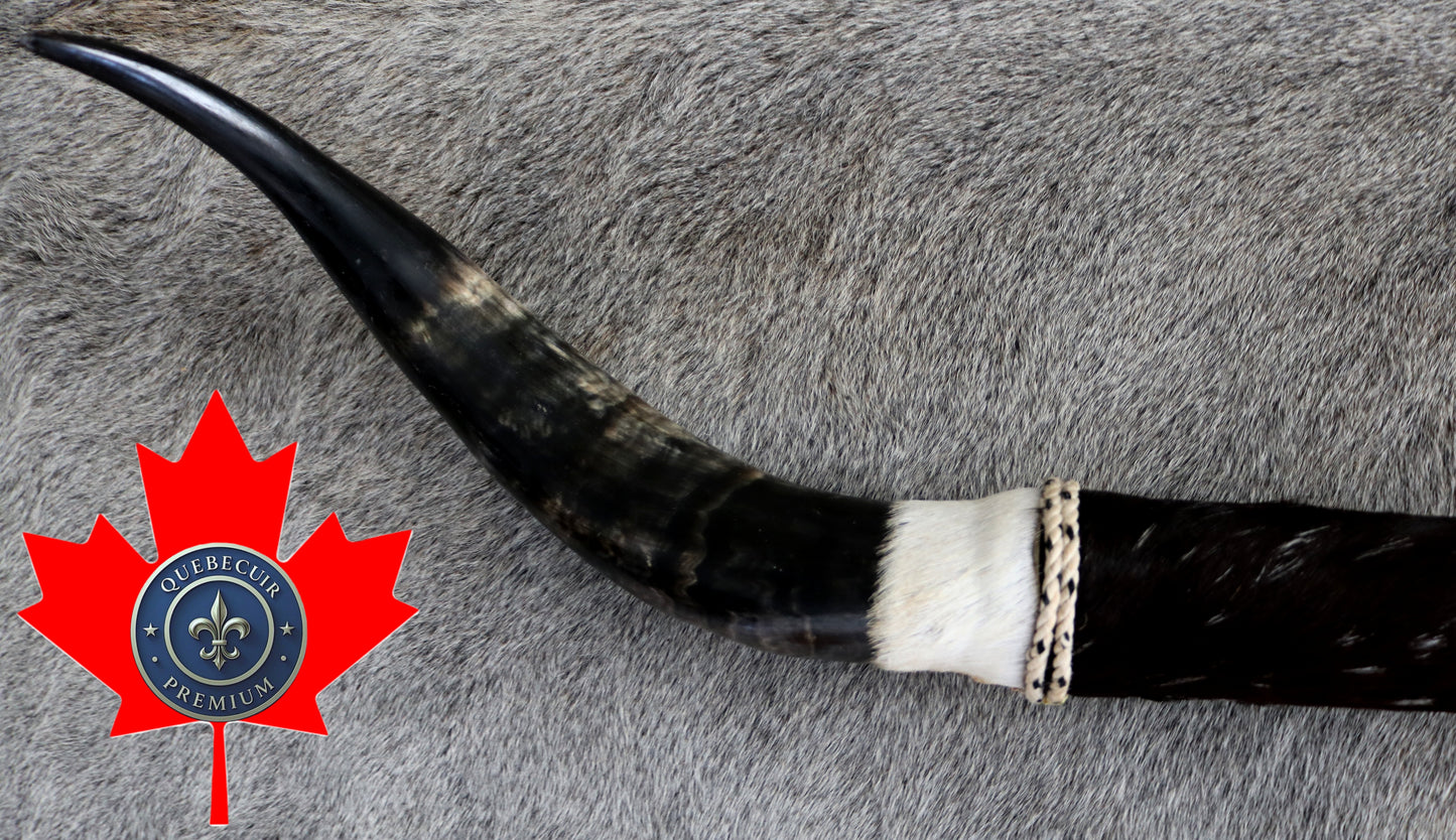 99298 Horns Cornes Collection  Quebecuir Premium
