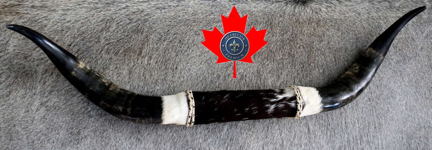 99298 Horns Cornes Collection  Quebecuir Premium
