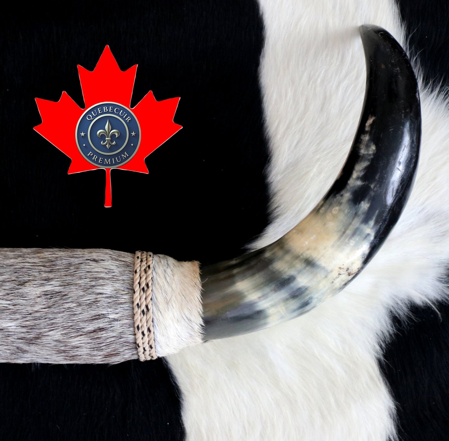 99300 Horns Cornes Collection  Quebecuir Premium