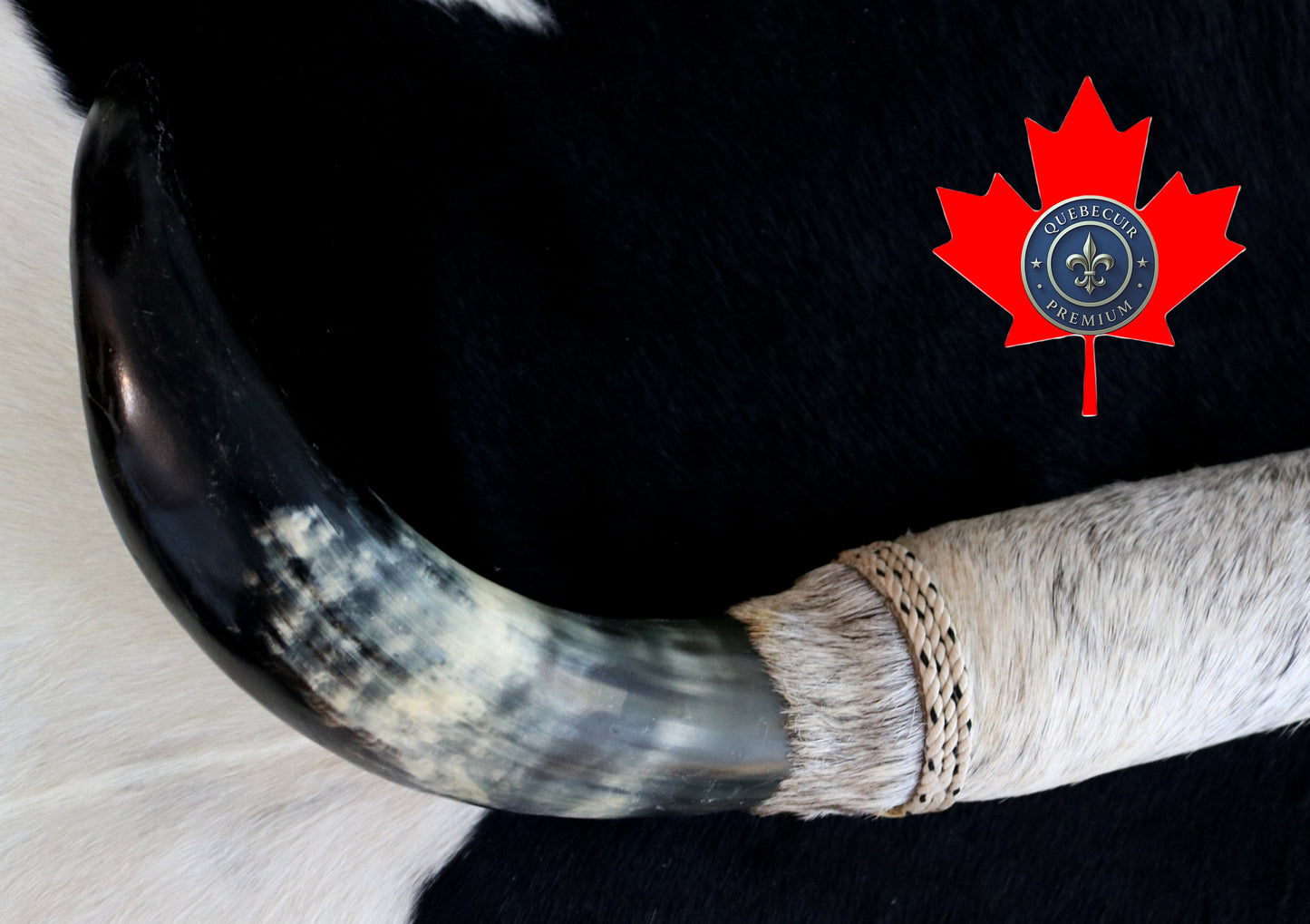 99300 Horns Cornes Collection  Quebecuir Premium