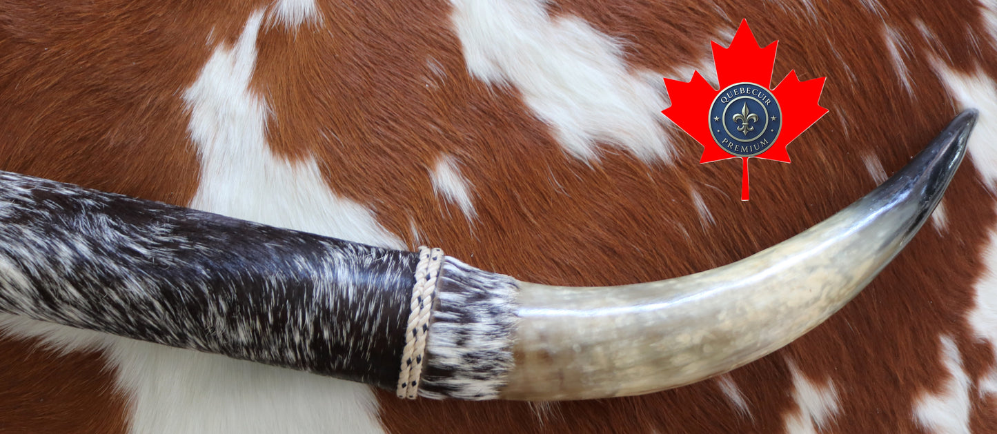 99306 Horns Cornes Collection  Quebecuir Premium