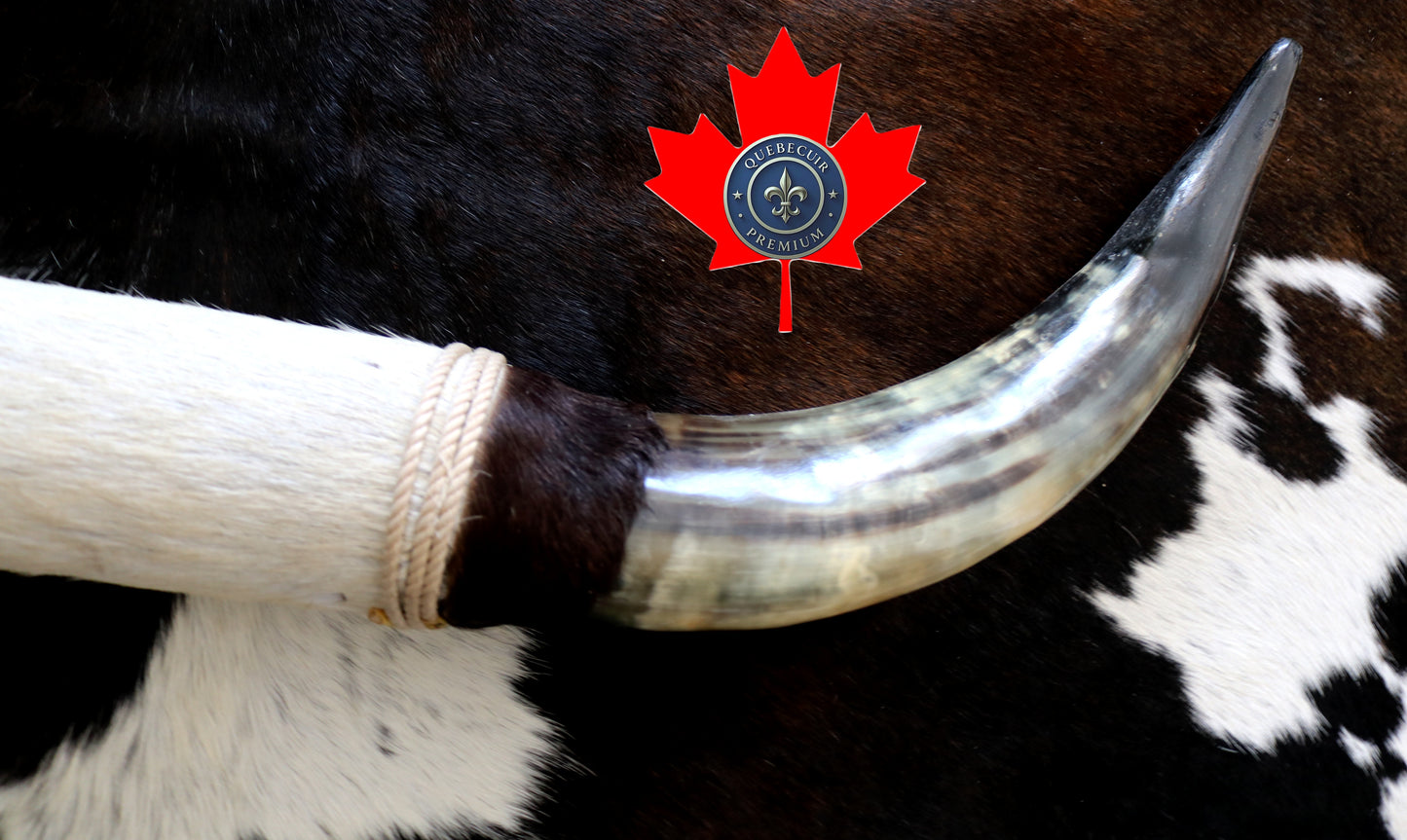 99312 Horns Cornes Collection  Quebecuir Premium