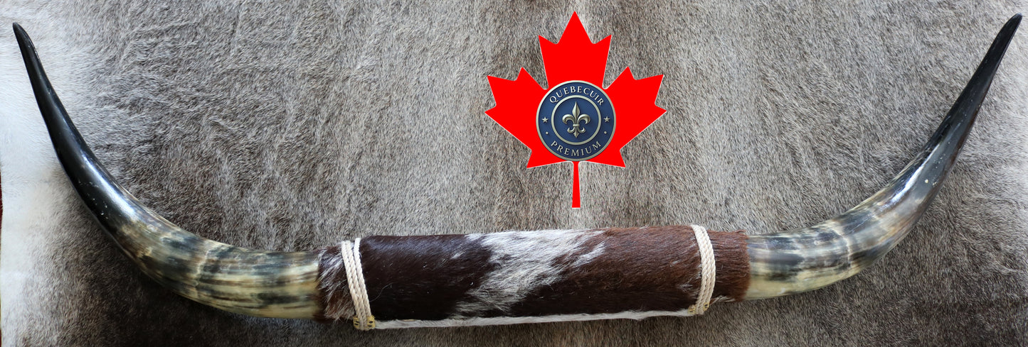 99314 Horns Cornes Collection  Quebecuir Premium