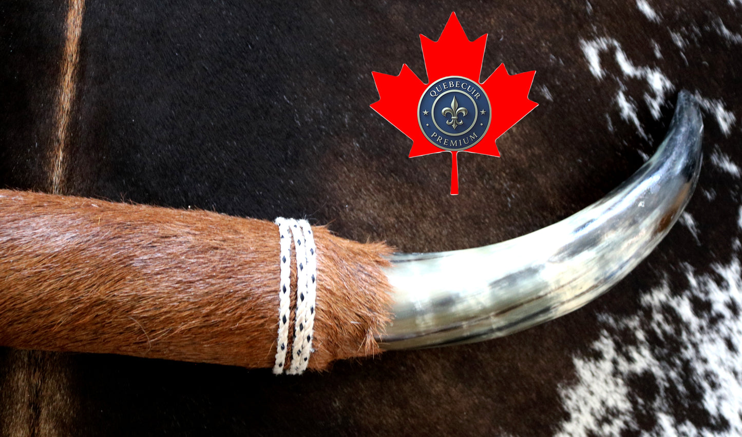 99316 Horns Cornes Collection  Quebecuir Premium