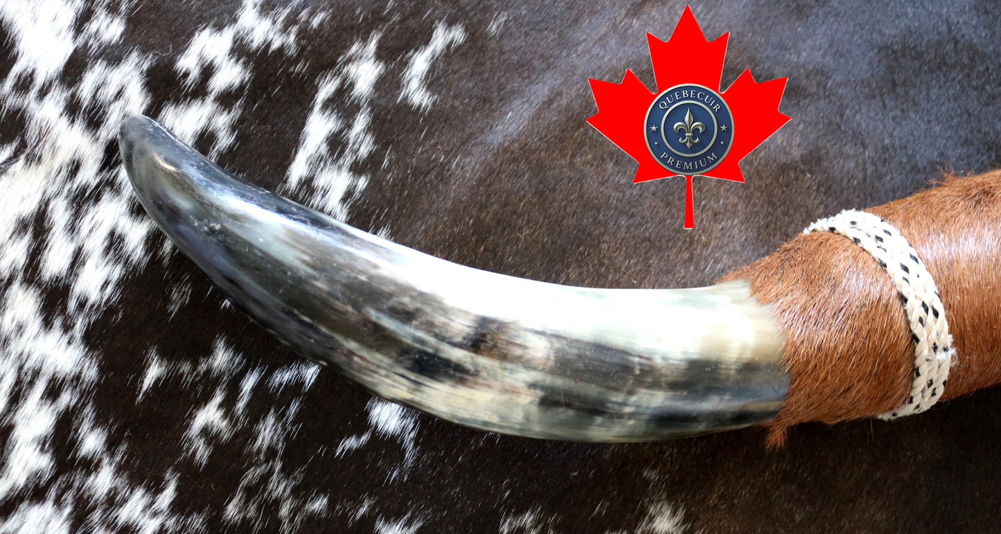 99316 Horns Cornes Collection  Quebecuir Premium