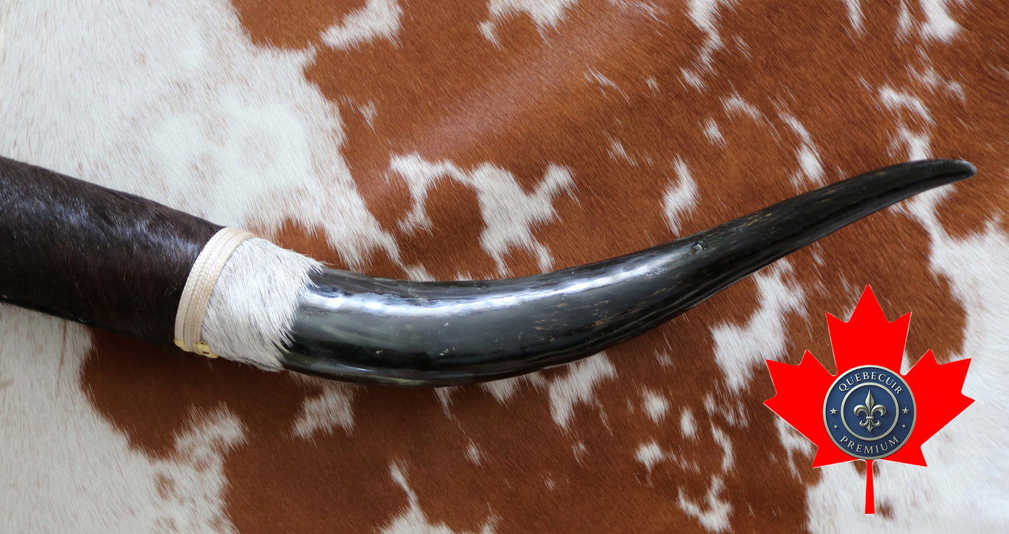 99318 Horns Cornes Collection  Quebecuir Premium
