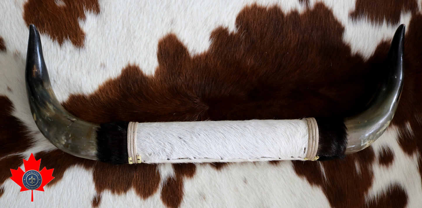 99322 Horns Cornes Collection  Quebecuir Premium