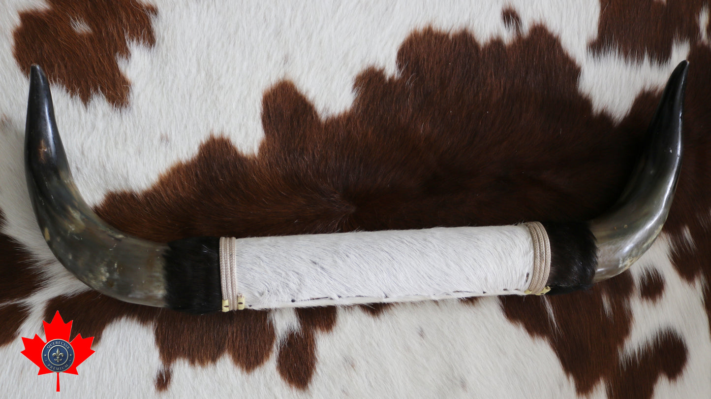 99322 Horns Cornes Collection  Quebecuir Premium