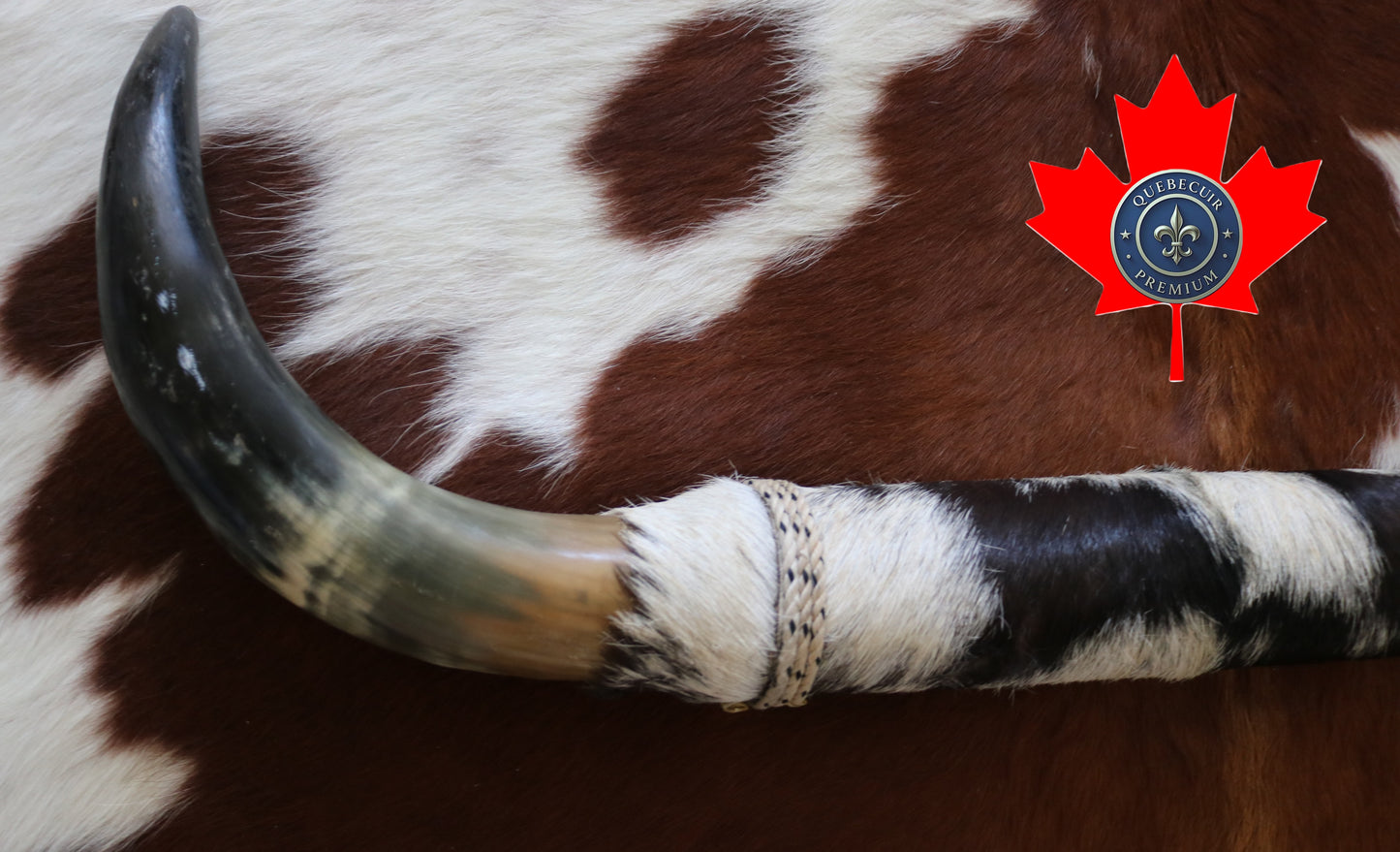 99323 Horns Cornes Collection  Quebecuir Premium