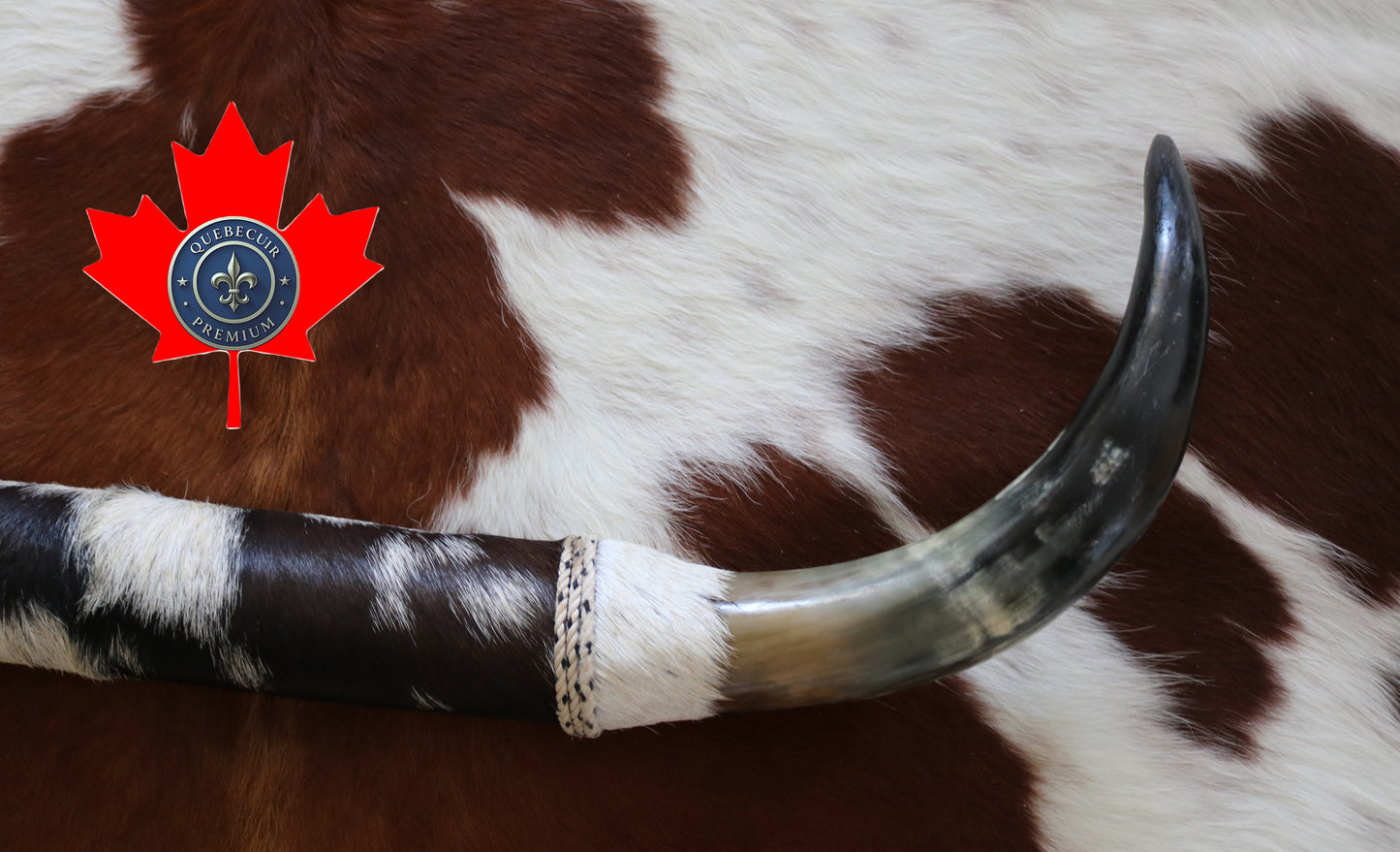 99323 Horns Cornes Collection  Quebecuir Premium