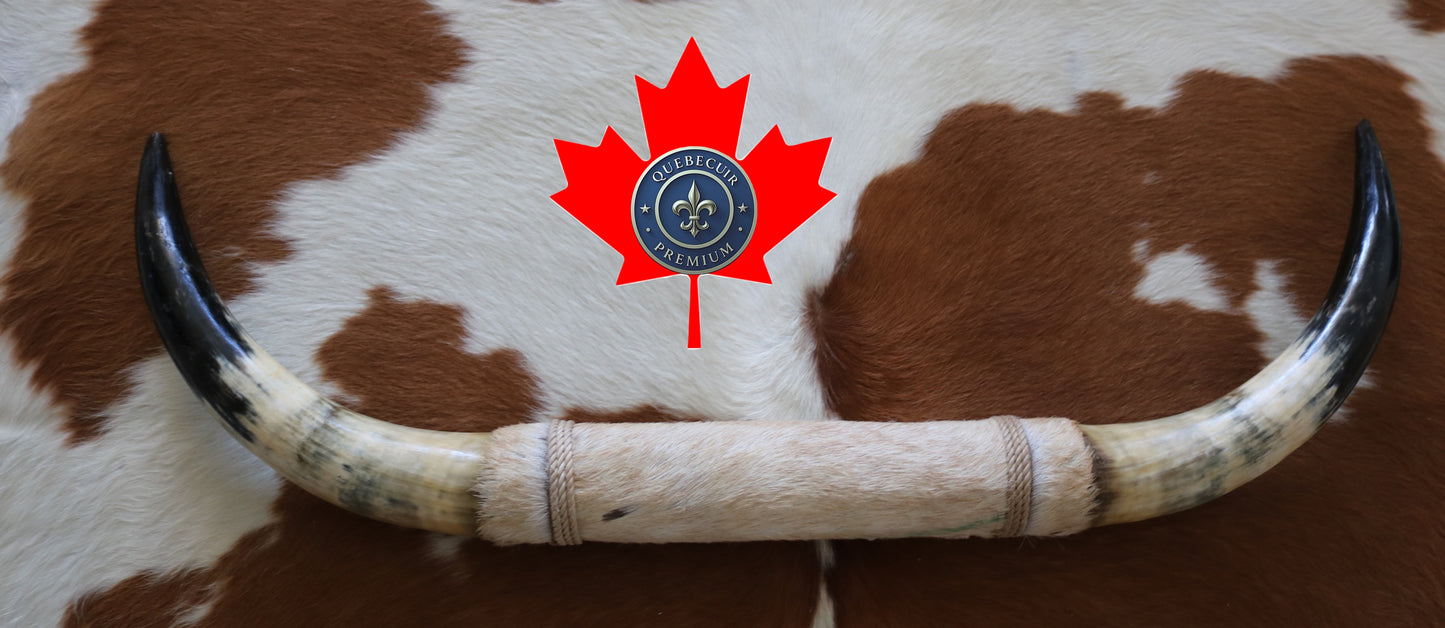 99324 Horns Cornes Collection  Quebecuir Premium