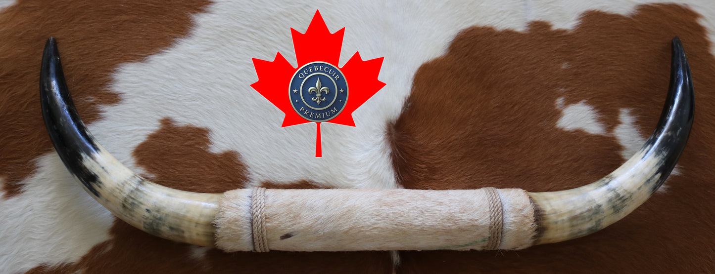 99324 Horns Cornes Collection  Quebecuir Premium