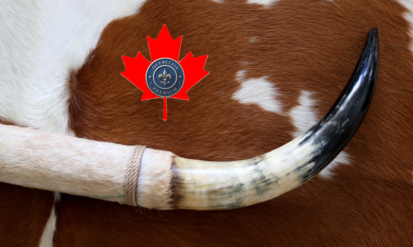 99324 Horns Cornes Collection  Quebecuir Premium