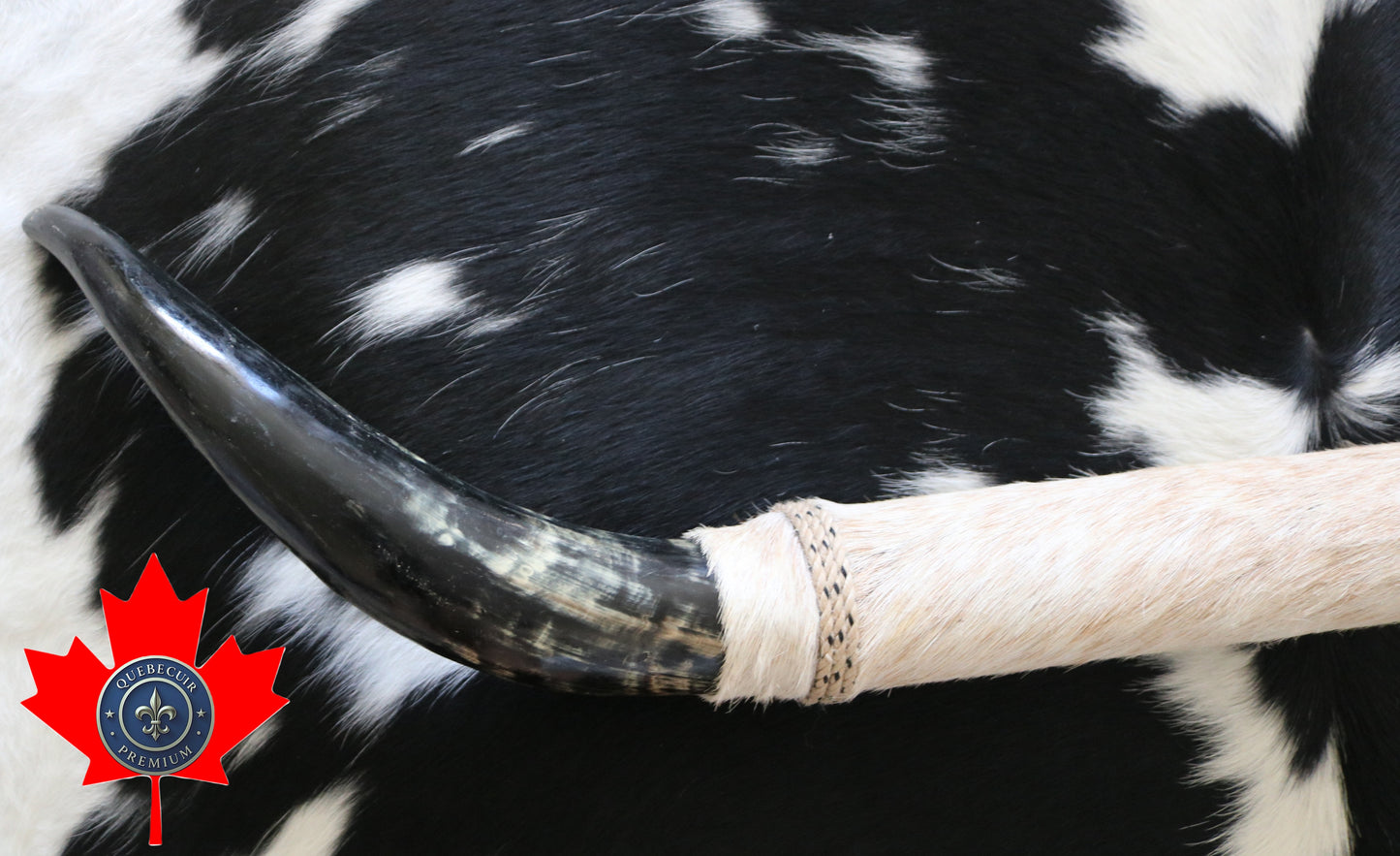 99325 Horns Cornes Collection  Quebecuir Premium