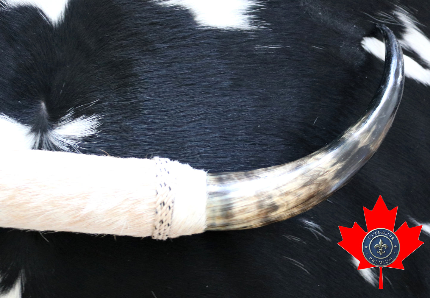 99325 Horns Cornes Collection  Quebecuir Premium