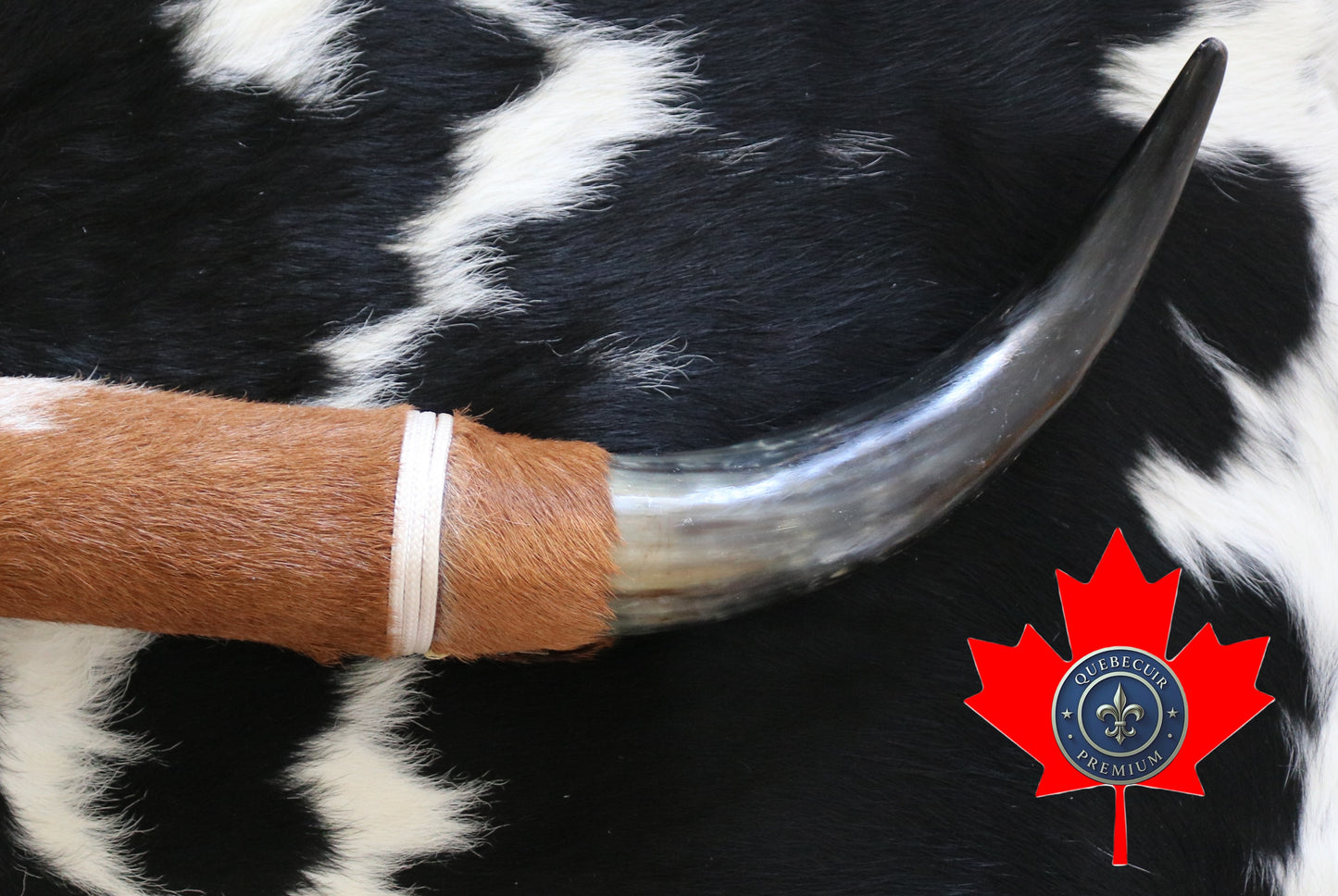 99326 Horns Cornes Collection  Quebecuir Premium