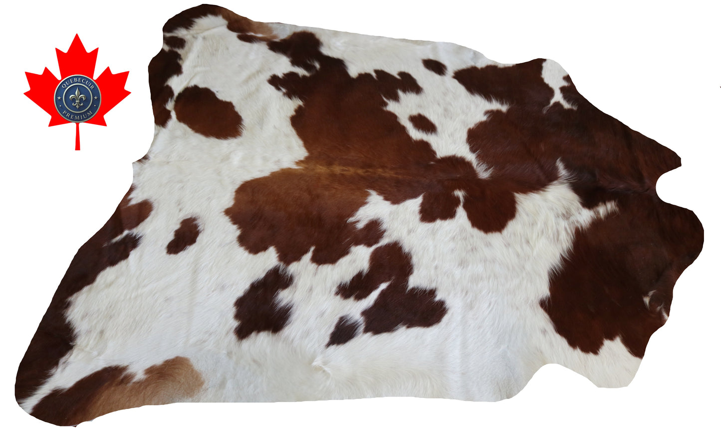 200538- Cowhide Rug Tapis Peau de Vache -BROWN & WHITE  Collection Quebecuir Premium