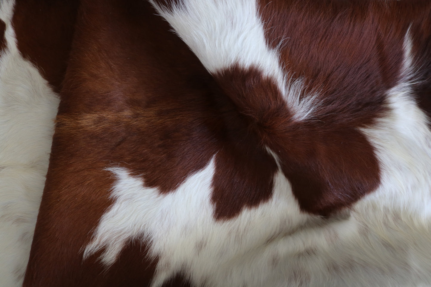 200538- Cowhide Rug Tapis Peau de Vache -BROWN & WHITE  Collection Quebecuir Premium