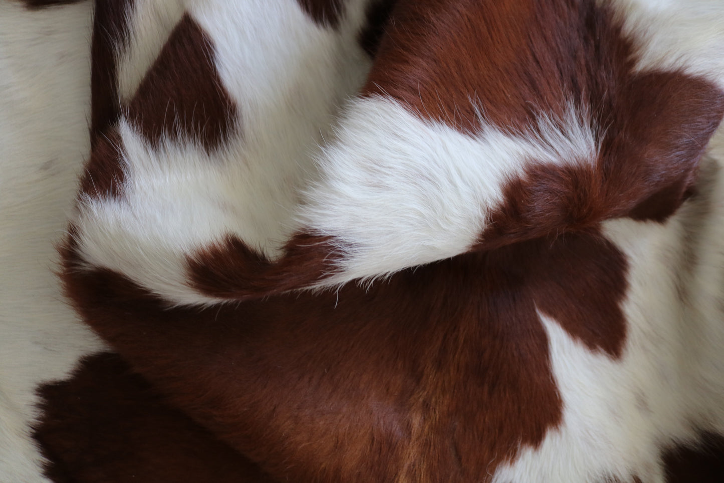 200538- Cowhide Rug Tapis Peau de Vache -BROWN & WHITE  Collection Quebecuir Premium