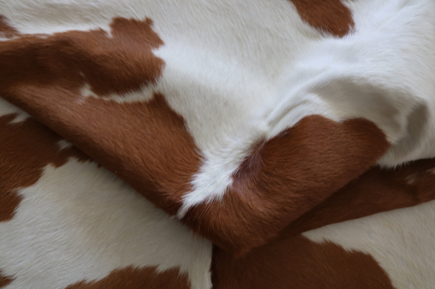 200539- Cowhide Rug Tapis Peau de Vache -BROWN & WHITE  Collection Quebecuir Premium