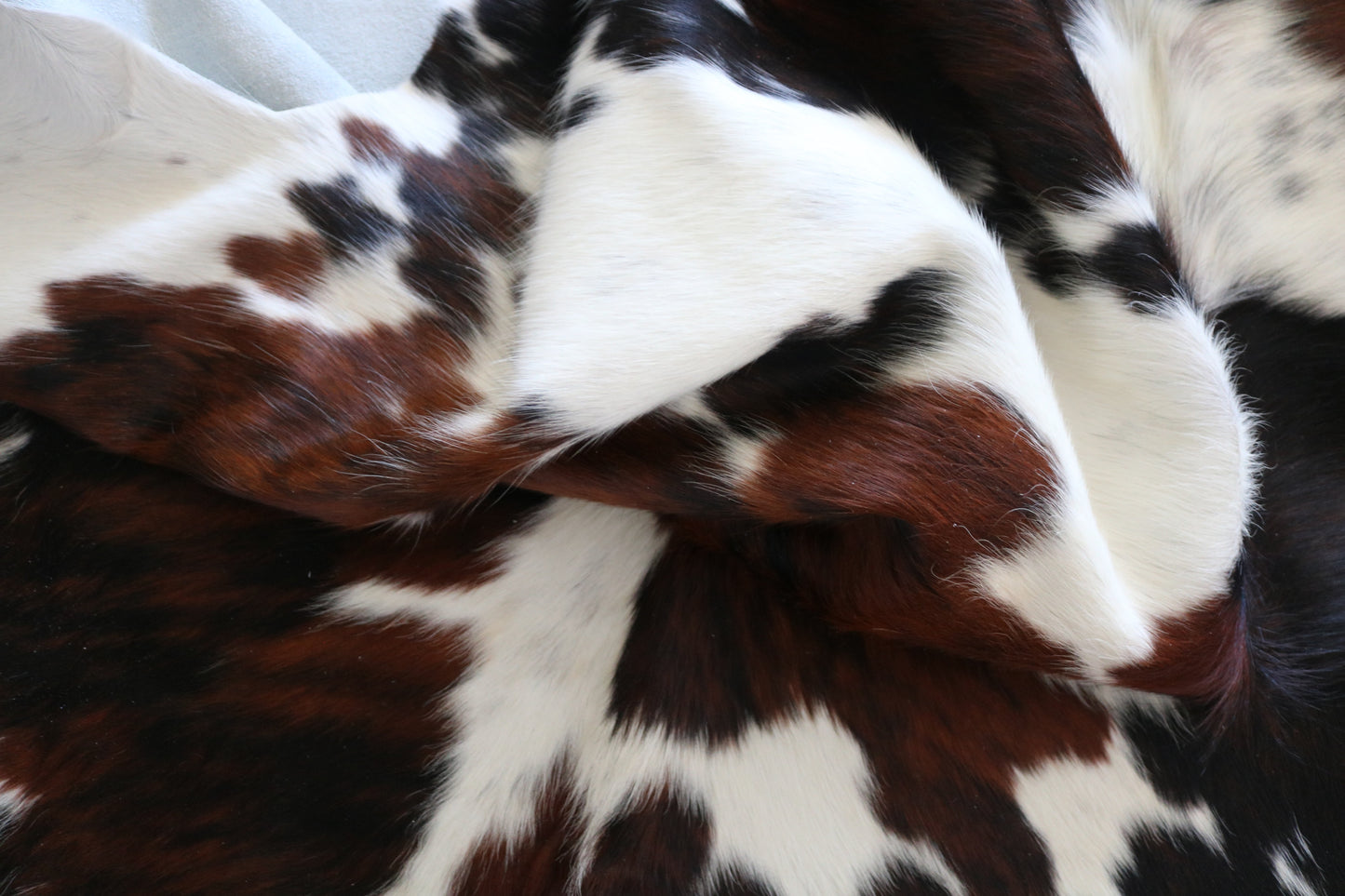 99329 Cowhide rug   Collection Quebecuir Premium SUPER  BIG SIZE XXXL