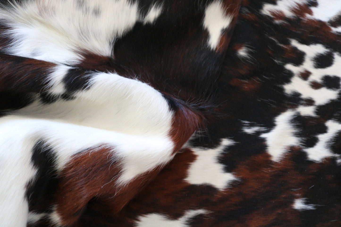 99329 Cowhide rug   Collection Quebecuir Premium SUPER  BIG SIZE XXXL