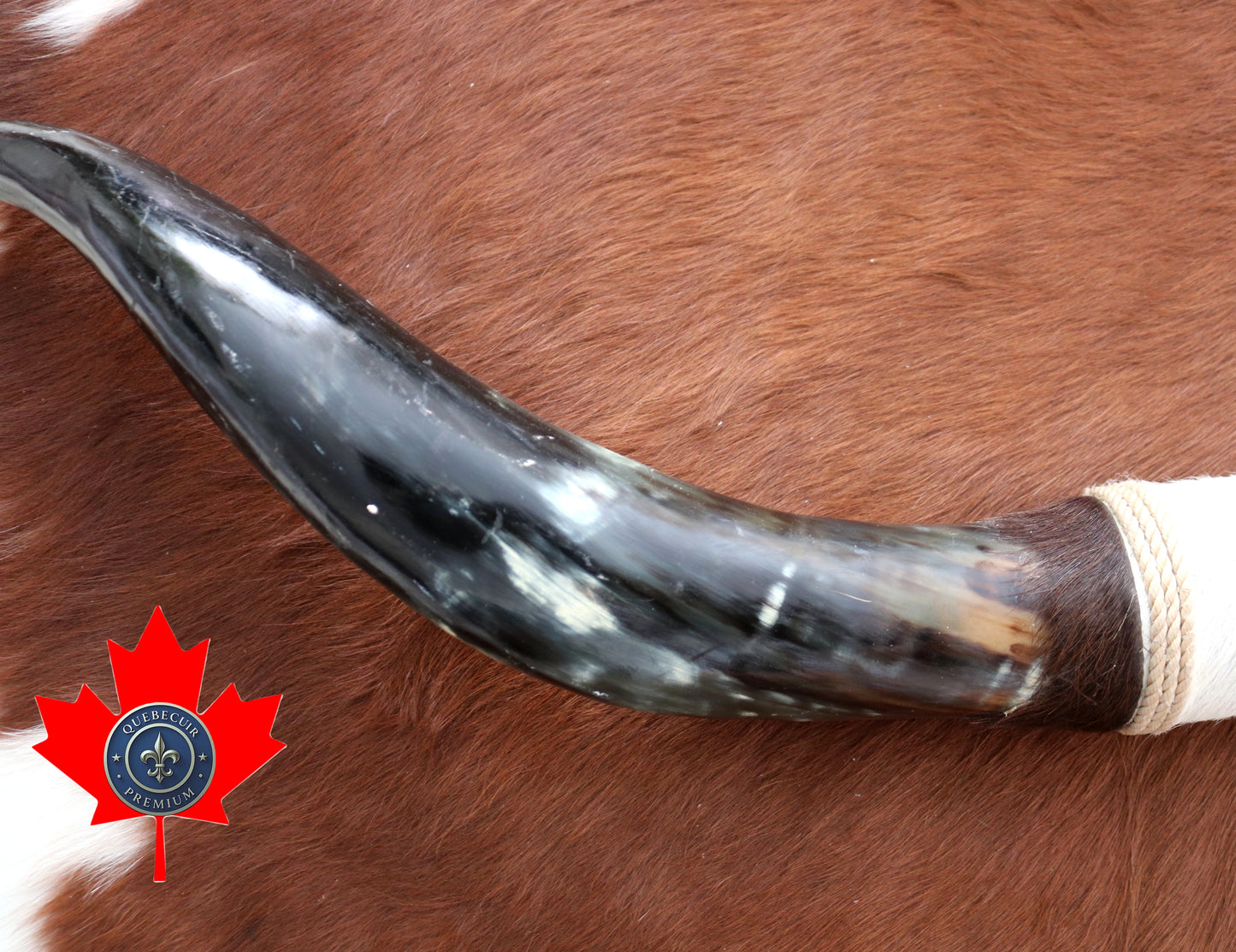 99334 Horns Cornes Collection  Quebecuir Premium