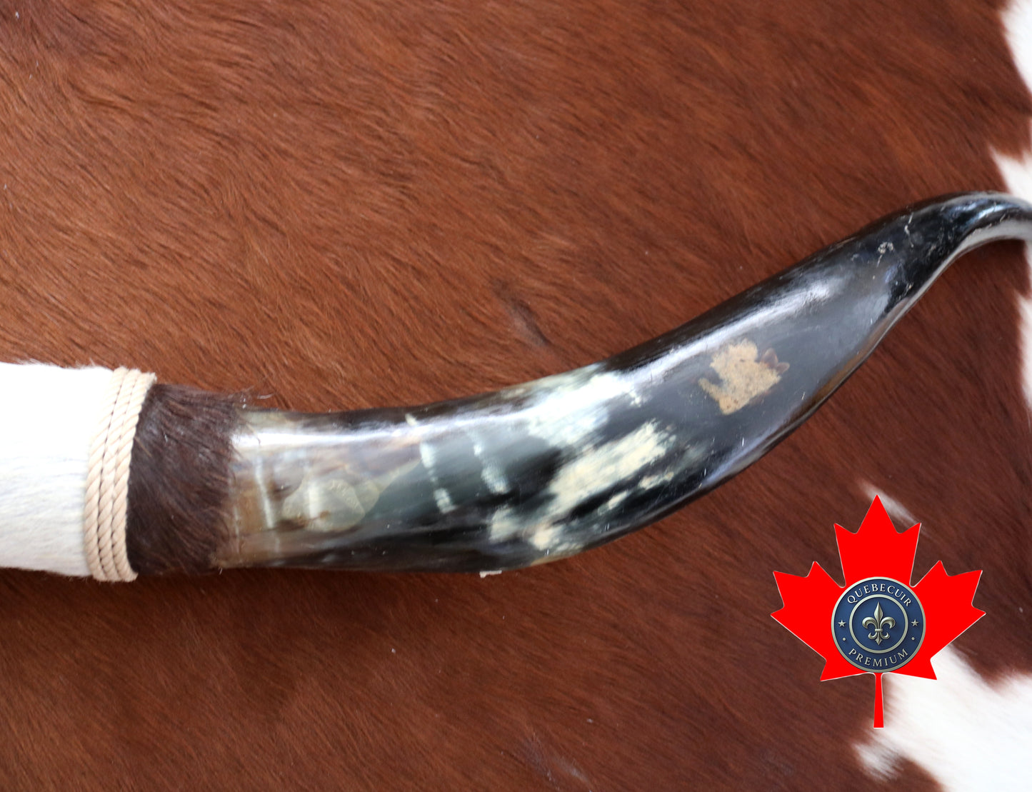 99334 Horns Cornes Collection  Quebecuir Premium