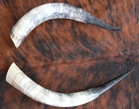 99338 Horns Cornes Collection  Quebecuir Premium