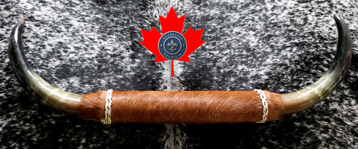 99340 Horns Cornes Collection  Quebecuir Premium