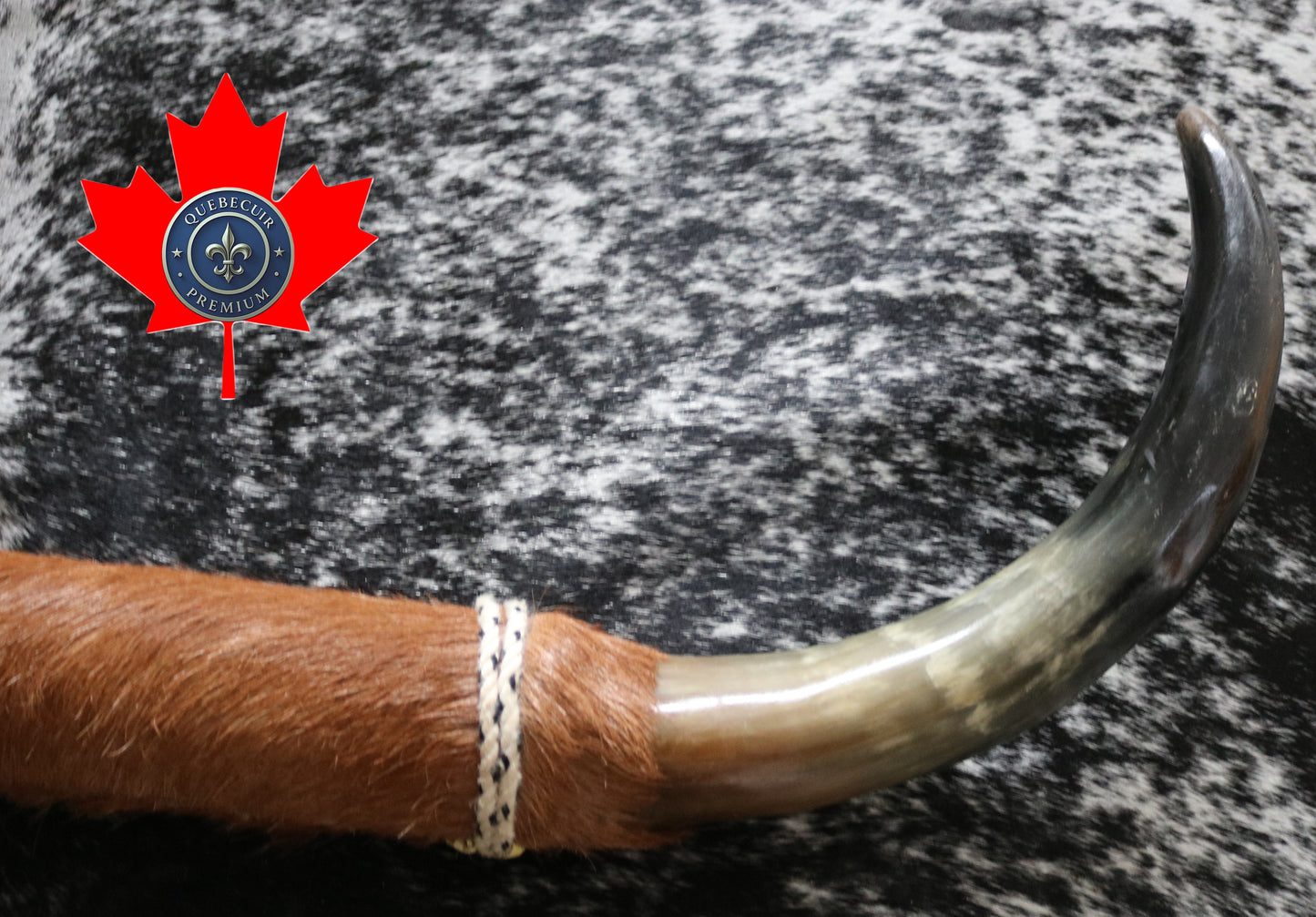 99340 Horns Cornes Collection  Quebecuir Premium
