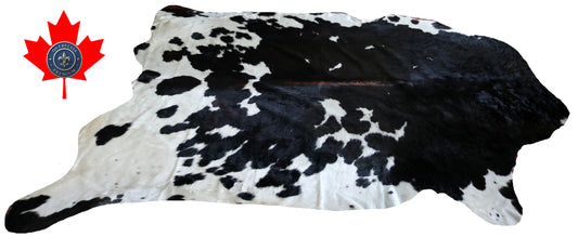 99341  Cowhide rug Collection Quebecuir Premium SUPER  BIG SIZE XXXL