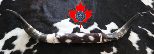 99342 Horns Cornes Collection  Quebecuir Premium