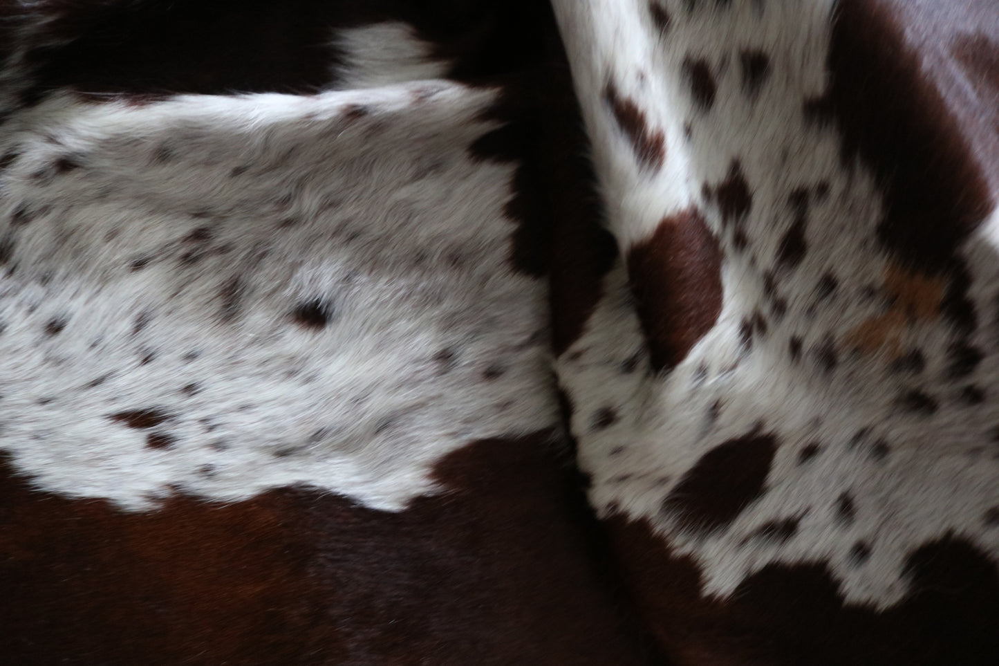 99344- Cowhide Rug Tapis Peau de Vache -TRICOLOR  Collection Quebecuir Premium