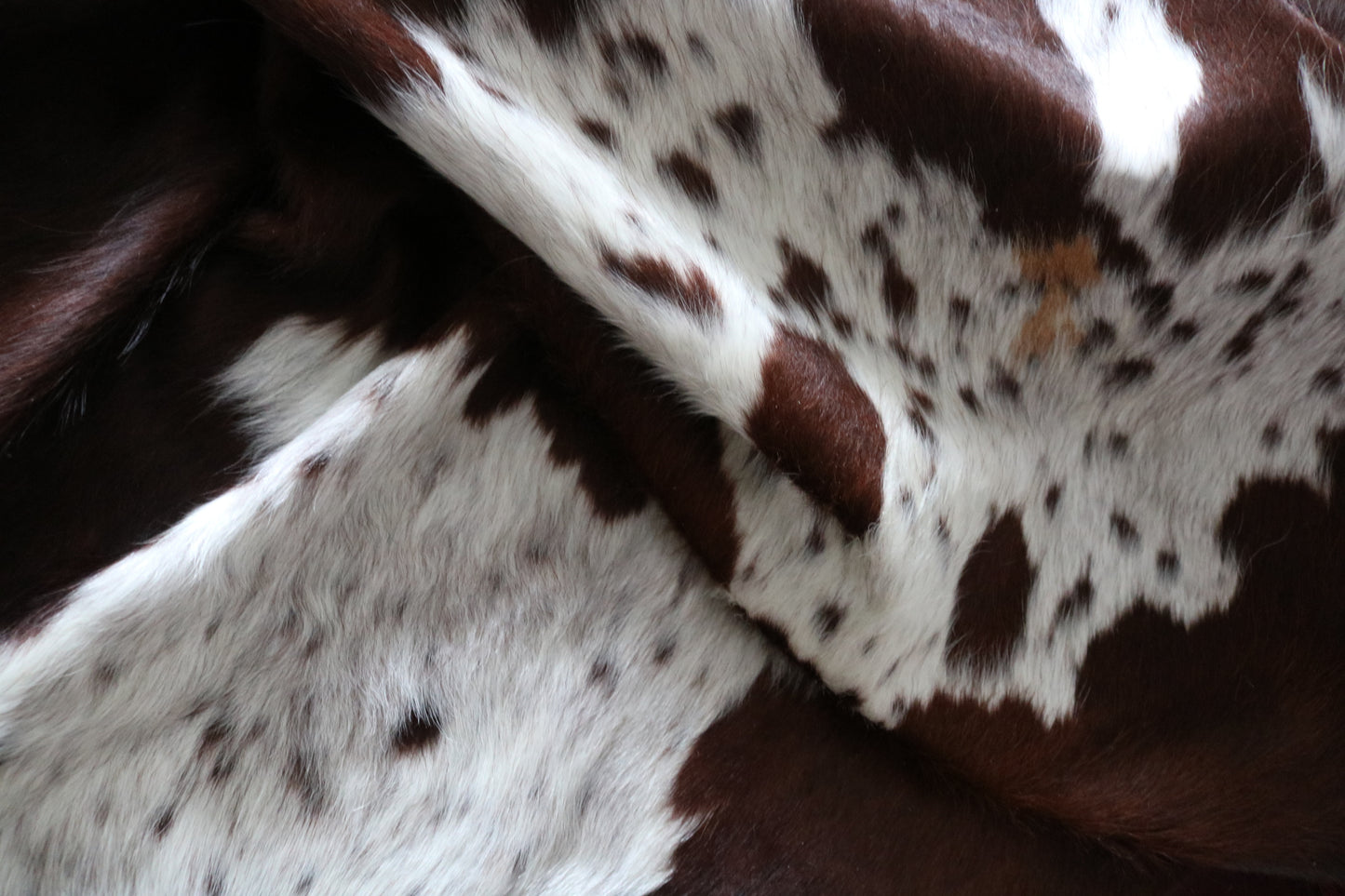 99344- Cowhide Rug Tapis Peau de Vache -TRICOLOR  Collection Quebecuir Premium