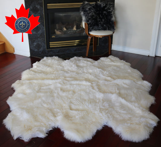 200556  Tapis GRAND peau de Mouton Sheepskin BIG SIZE Collection Quebecuir Premium IVORY     X 6